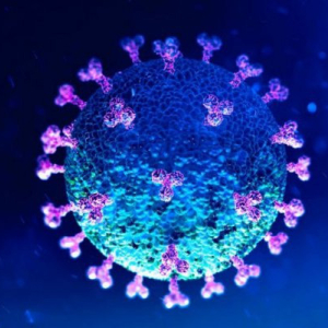 Riomafra chega a 198 infecções por covid-19; veja os números de hoje