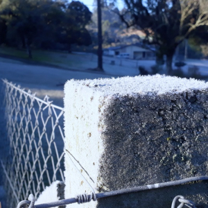 Nova onda de frio derruba temperaturas a partir desta sexta-feira