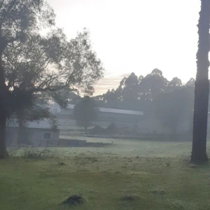 Com temperaturas baixas, região amanhece com geada neste domingo