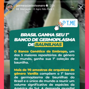 Grupo Marcação nas redes sociais do presidente Jair Bolsonaro