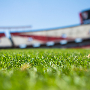Plataformas de apostas dominam o marketing esportivo