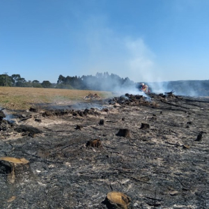Bombeiros combatem incêndio em área florestal no Km 9