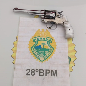 Homem é preso por porte ilegal de arma de fogo em Campo do Tenente