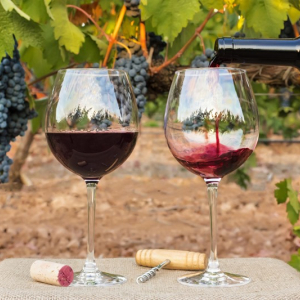 Os vinhos da região de Beaujolais
