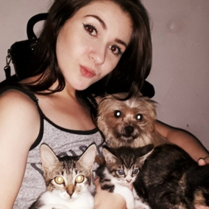 Envenenamento de pets preocupa moradores da Vila Ivete