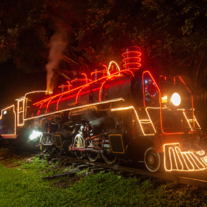 Após dois anos, Trem de Natal volta a passar por Mafra e Rio Negro