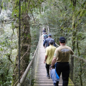 Rio Negro promove Caminhada na Natureza no dia 19 de abril