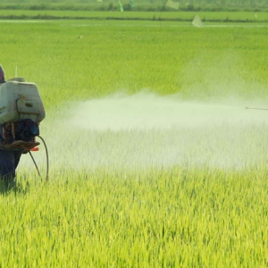 Sindicato Rural convoca produtores para audiência sobre ICMS de agrotóxicos