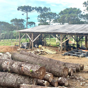 Carvoaria clandestina é autuada pela Polícia Ambiental no interior de Mafra