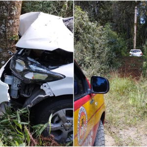 Motorista de 80 anos fica ferido após colidir carro contra árvore