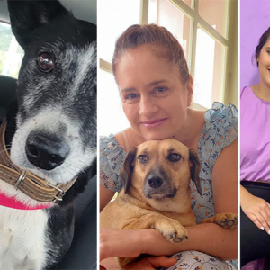 Adoção de pets: um ato de amor