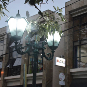 Sol ou chuva no feriadão? Confira a previsão do tempo