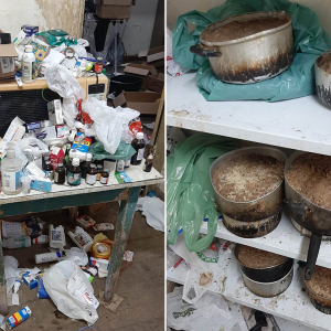 Homem é preso suspeito de maus-tratos a 24 cachorros