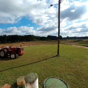 Automóvel Clube de Mafra pede apoio da comunidade para se reestruturar