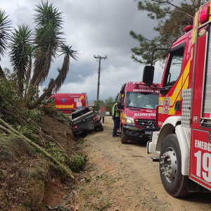 Árvore é cortada e cai sobre carro em movimento