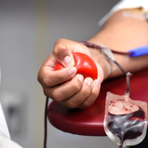 Qual a importância da doação de sangue?