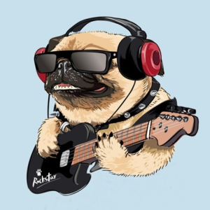 Grupo Riomafra pelos Animais realiza evento de rock neste sábado