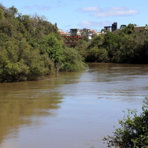Mutirão de limpeza nas margens do rio Negro acontece neste sábado
