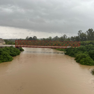 Nível do rio Negro passa de 9 metros