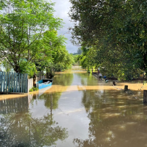 Enchente reacende alerta para risco de contaminação por leptospirose