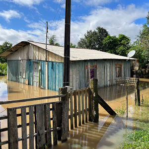 Nível do rio Negro chega a 10 metros