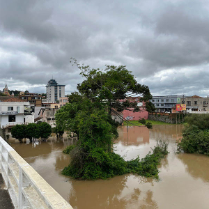 Nível do rio Negro continua subindo; veja