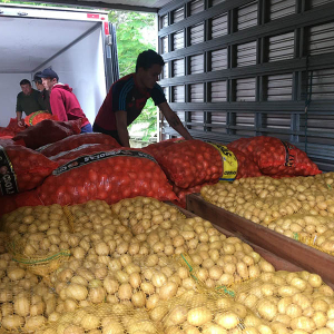 Mais de 3 toneladas de batata são doadas para Rio Negro e Mafra