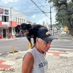 Na garupa de dono, cãozinho chama atenção em Riomafra