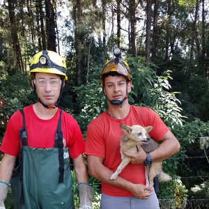 Cãozinho é resgatado após passar três dias em vala
