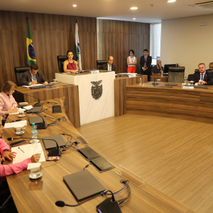Comissão Especial aprova Código Estadual da Pessoa com Espectro Autista
