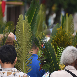 Domingo de Ramos marca início da Semana Santa; veja programação
