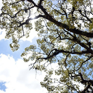 Semana deve ter temperatura mínima de 9ºC na região; veja previsão