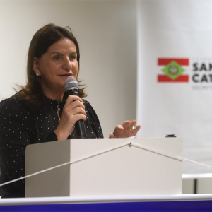 Alesc pede explicações à Carmen Zanotto