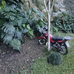 Jovem cai de 7 metros de altura após perder controle de moto