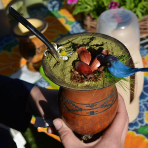 Que tal ganhar R$ 1 mil fazendo chimarrão? Veja como concorrer