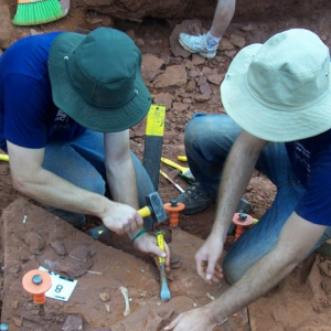 Pesquisadores desvendam taxas de crescimento e longevidade de dinossauro brasileiro