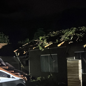 Árvore cai e causa danos em casa, carro e rede elétrica