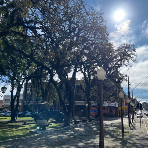 Onda de calor influencia o tempo nesta semana; veja a previsão