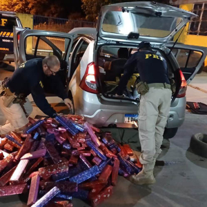 Homem flagrado com mais de 200 quilos de maconha é denunciado à Justiça