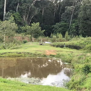 Homem morre afogado em tanque no interior
